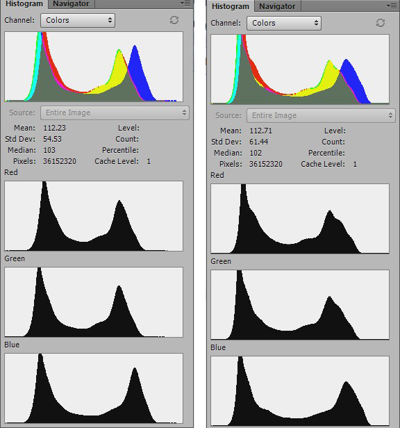 Nikon D810 DNG and NEF Histograms.jpg